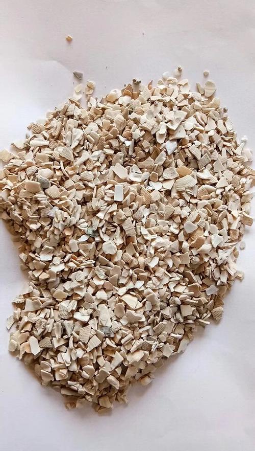 大量批发 出售 批发贝壳粉 养殖场宠物补充钙饲料 贝壳粉饲料 质量保